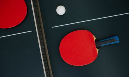 10 Best Table Tennis Bats in 2023 (for all skill levels)