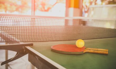 8 Best Outdoor Table Tennis Tables in 2023 (for all budgets)
